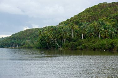Dominik Cumhuriyeti 'ndeki güzel iguamo nehri