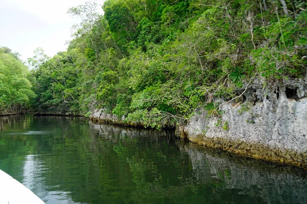 Isla Aves Verdes Parque Nacional Los Haitises República Dominicana — Foto de Stock