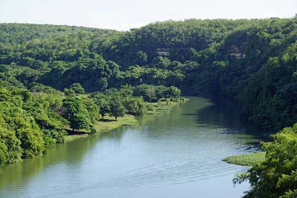 多明尼加共和国卡冯河畔的热带风景 — 图库照片