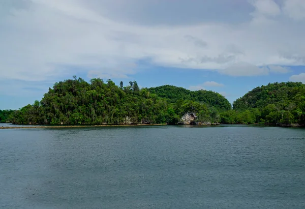 Île Aux Oiseaux Verts Dans Parc National Los Haitises République — Photo