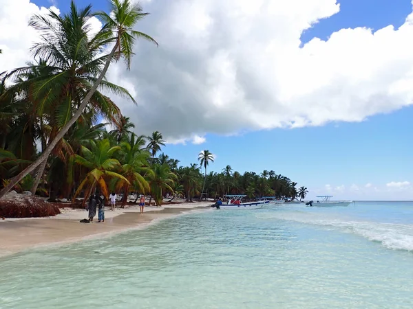 Exótico Ilha Tropical Saona República Dominicana — Fotografia de Stock