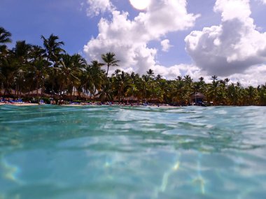 Dominik Cumhuriyeti 'ndeki egzotik tropik ada saonası