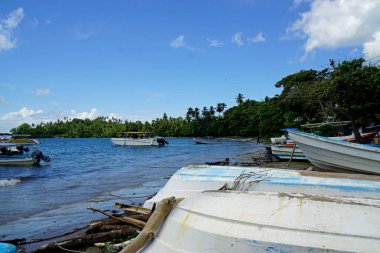 Dominik Cumhuriyeti 'nin Samana yarımadasında tropik körfez