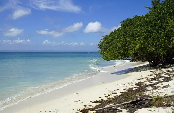 Exotic Caribbean Island Cayo Levantado Dominican Republic — Stock Photo, Image