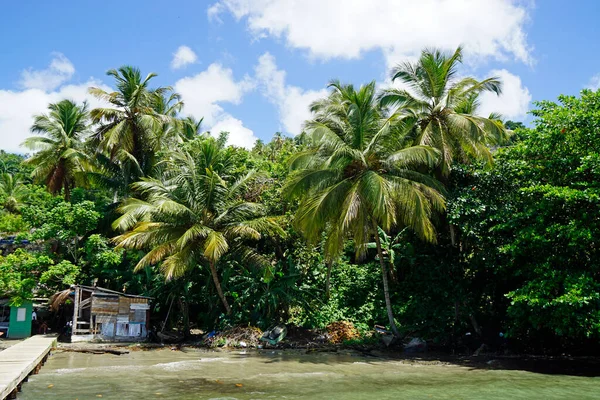 Baia Tropicale Sulla Penisola Samana Nella Repubblica Dominicana — Foto Stock