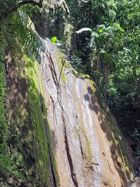 Cascada Los Cocos Samana República Dominicana — Foto de Stock