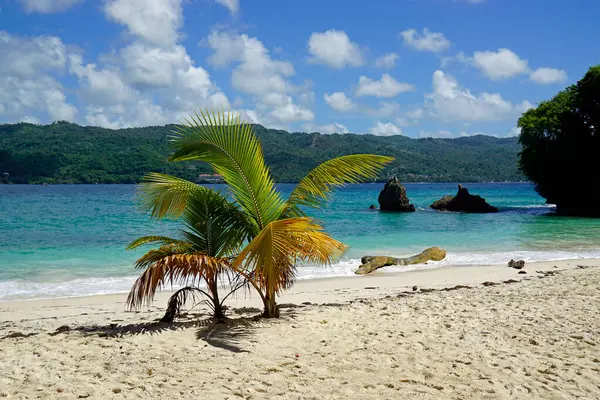 Isola Caraibica Esotica Cayo Levantado Nella Repubblica Dominicana — Foto Stock