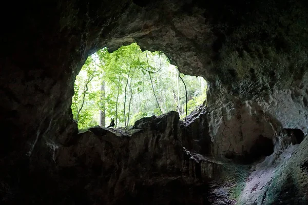 Malebná Linea Jeskyně Národním Parku Los Haitises Dominikánské Republice — Stock fotografie