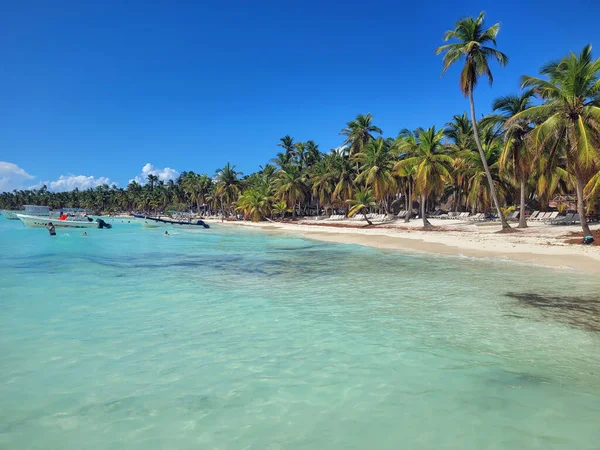 Exotique Île Tropicale Saona République Dominicaine — Photo