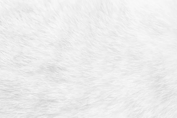 Котяче Хутро Крупним Планом Текстура Тла Білі Абстрактні Смуги — стокове фото