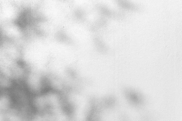 Бетон Або Цементний Матеріал Тінь Листя Абстрактній Текстурі Тла Стіни — стокове фото