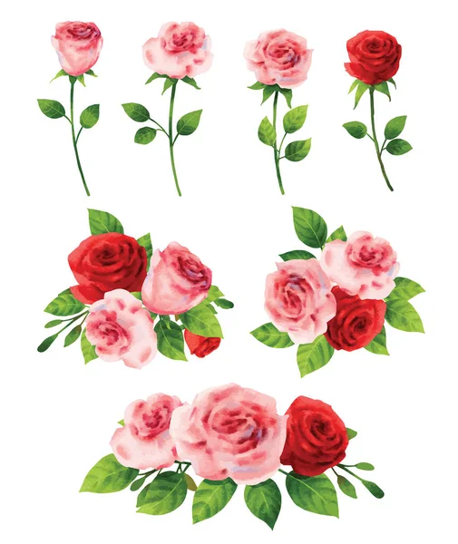 Rosa Rosa Conjunto Flores Para Día San Valentín Estilo Acuarela — Archivo Imágenes Vectoriales