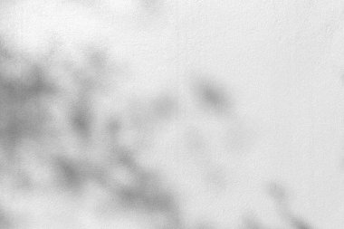 Soyut duvar arkaplan dokusuna beton ya da çimento ve yaprak gölgesi.