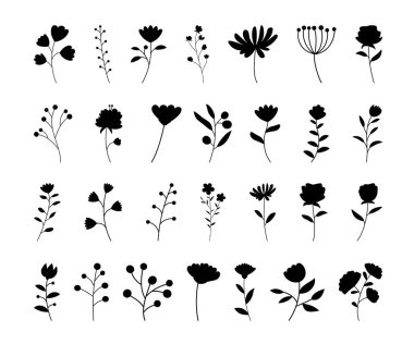 Çiçek dalı silueti hazır. Beyaz arka planda yapraklarla ve çiçeklerle çizilmiş el..