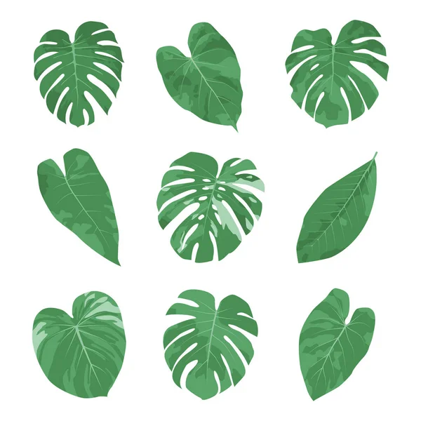 Tropical Leaves Set Watercolor Hand Drawn Style — стоковый вектор