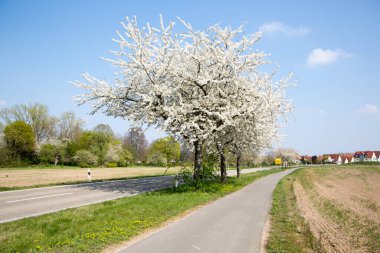 Sulama, ekili topraklara su temin etmektir.