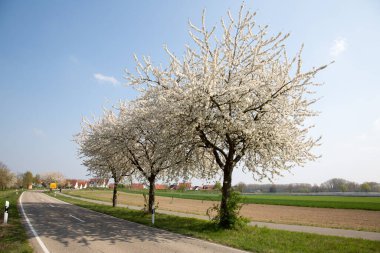 Sulama, ekili topraklara su temin etmektir.