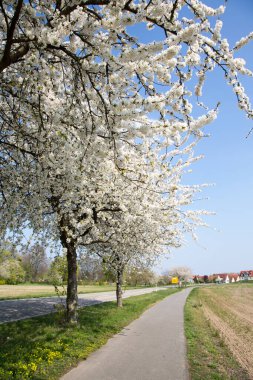 Sulama, ekili topraklara su temin etmektir.