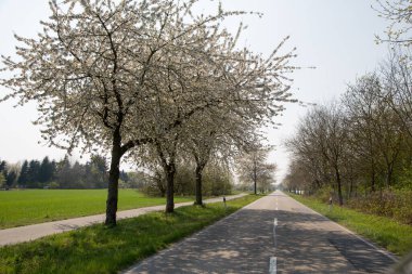 Sulama, ekili topraklara su temin etmektir.