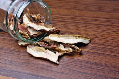 kurutulmuş boletus mantarı