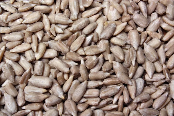 Sunflower seeds — Stock Photo, Image