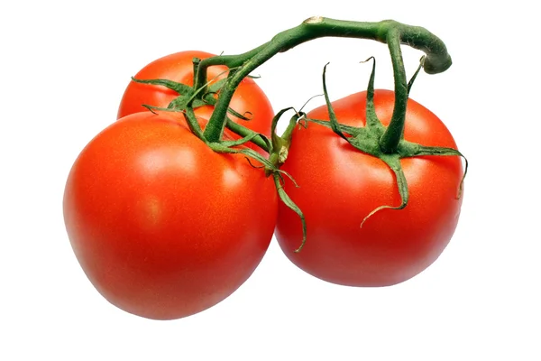 Tomates — Foto de Stock