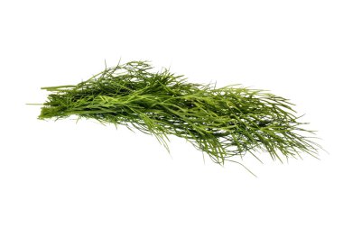 Dill.
