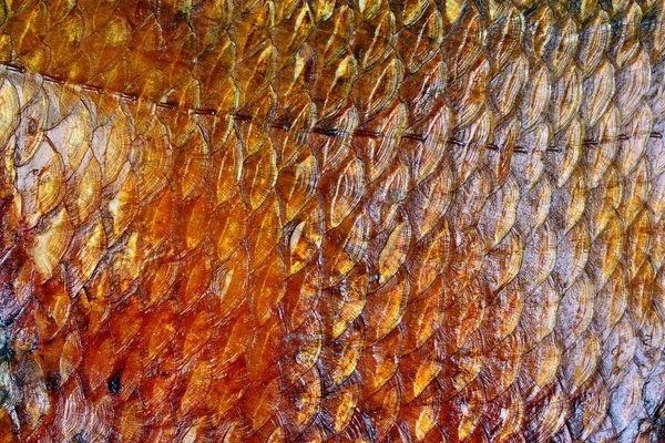 Καπνιστά ψάρια κλίμακες — Φωτογραφία Αρχείου