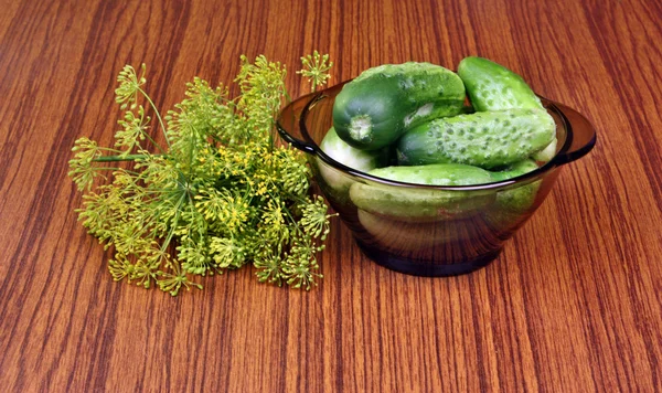 Dill and cucumbers — Stock Photo, Image