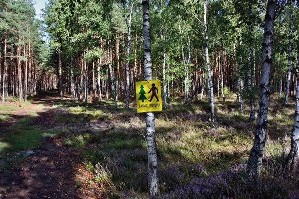 No entry forest — Stock Photo, Image