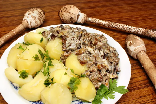 Cena de champiñones con parasol — Foto de Stock