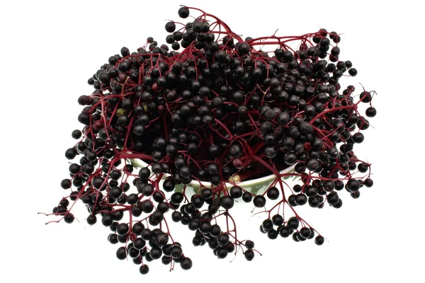 Elderberry — Stock Photo, Image