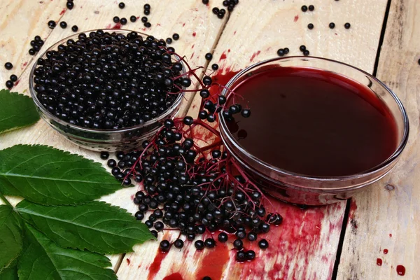 Elderberry — Stock Photo, Image