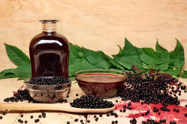 Black elderberry — Stock Photo, Image