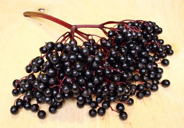 Elderberry fruit — Stock Photo, Image