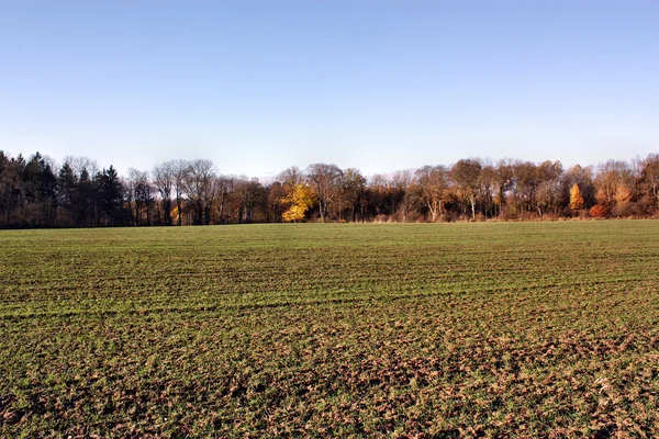 Zicht op het veld — Stockfoto