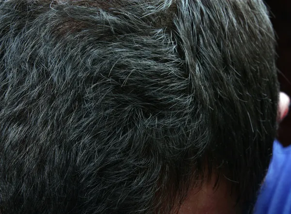 Graying hair — Stock Photo, Image