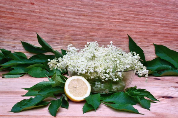 Elderberry flowers and lemons — Stock Photo, Image