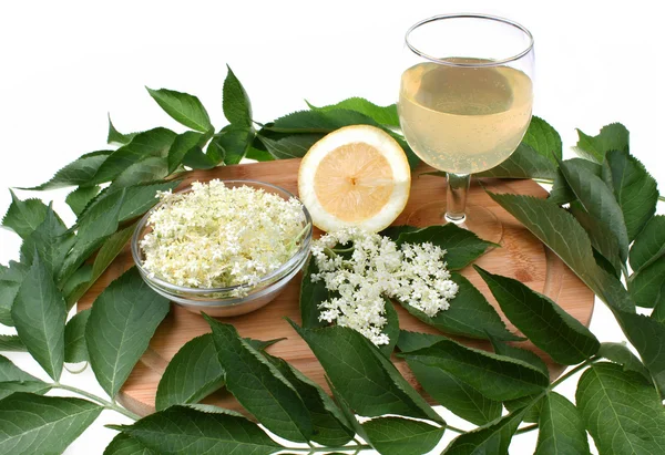 Elderflower flower — Stock Photo, Image