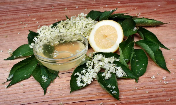 Elderflower — Stock Photo, Image