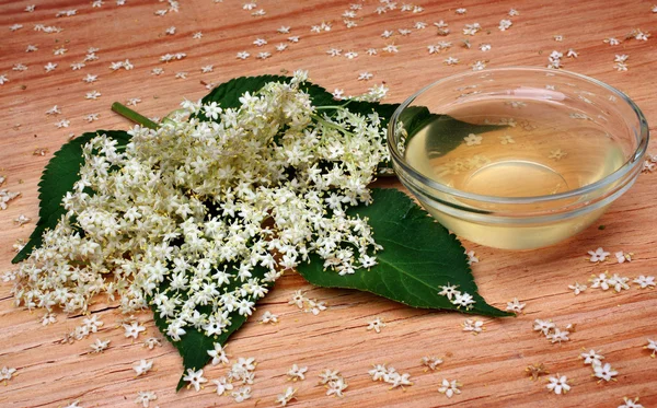 Flor de sabugo — Fotografia de Stock
