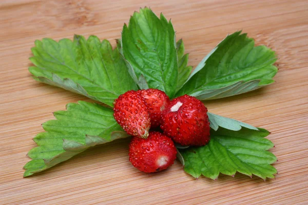 야생 딸기 — 스톡 사진
