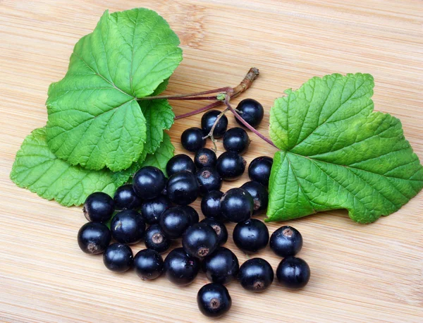 Svarta vinbär frukt — Stockfoto