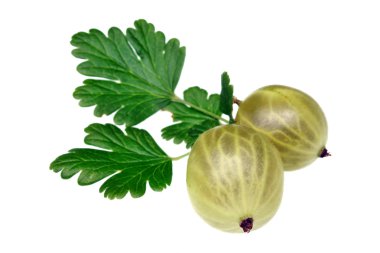 bektaşi