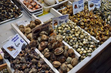 İspanya, Avrupa 'da bir pazarda satılık taze ve sağlıklı deniz ürünleri