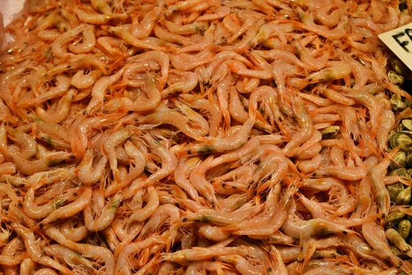 Fresh Healthy Seafood Prawns Sale Market Spain Europe — Stock Photo, Image