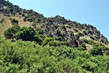 Dağa ve Kournas Gölü 'ndeki ağaçlara bak.