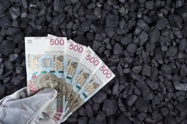 Polonya para birimi, Polonya 'da yüksek enflasyon sırasında fiyatları yükselen maden yatağı mineral kaynaklarının kömürü üzerinde gösterdi