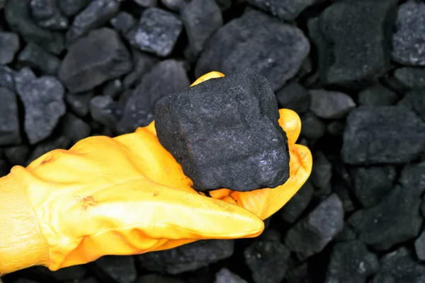 Ανθρακωρύχος Κατέχει Και Δείχνουν Κύβο Του Άνθρακα Στο Χέρι Έννοια — Φωτογραφία Αρχείου