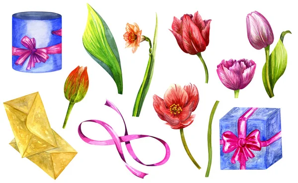 Acuarela flores tulipanes y narcisos, caja de regalo, cinta. Un conjunto de elementos de acuarela. — Foto de Stock